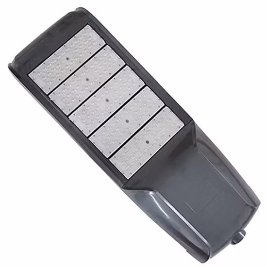 Outdoor Lighting and Street Light Fixture Ds-202 Max 400W